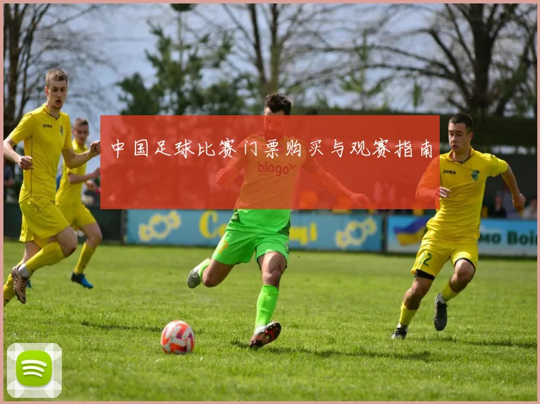 中国足球比赛门票购买与观赛指南