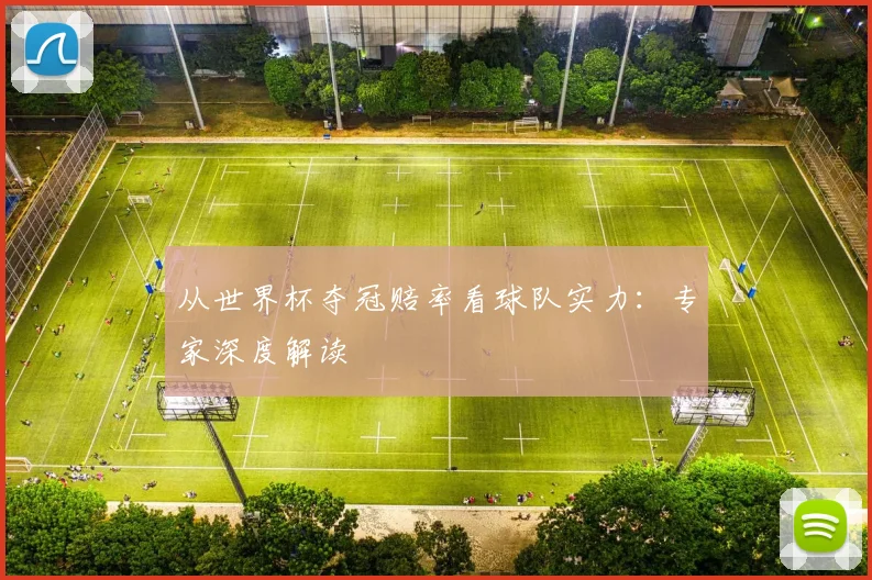 从世界杯夺冠赔率看球队实力：专家深度解读