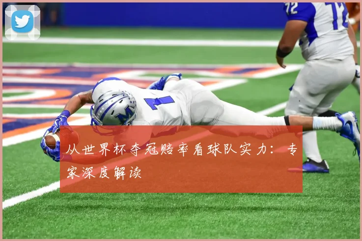 从世界杯夺冠赔率看球队实力:专家深度解读