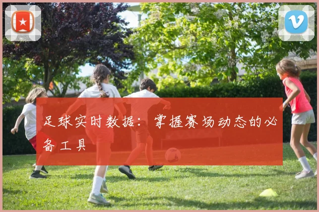 足球实时数据：掌握赛场动态的必备工具